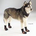 Guardian Survival Gear Guardian Gear ZA245 06 69 Guardian Gear Dog Boots Lrg Orange ZA245 06 69